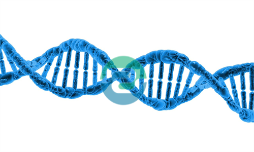 剛懷孕到底能不能做中山親子鑒定？