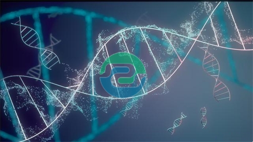 中山親子鑒定為無數家庭提供了明確的答案和支持！