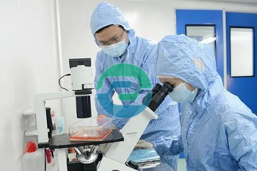 中山親子鑒定要花多少錢呢？什么因素影響價(jià)格？