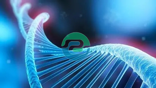 中山親子鑒定的費用是多少？需要什么？