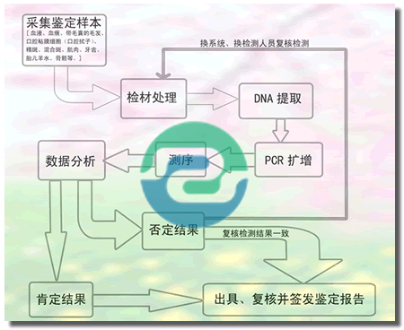 非婚生子女需要做中山親子鑒定嗎？