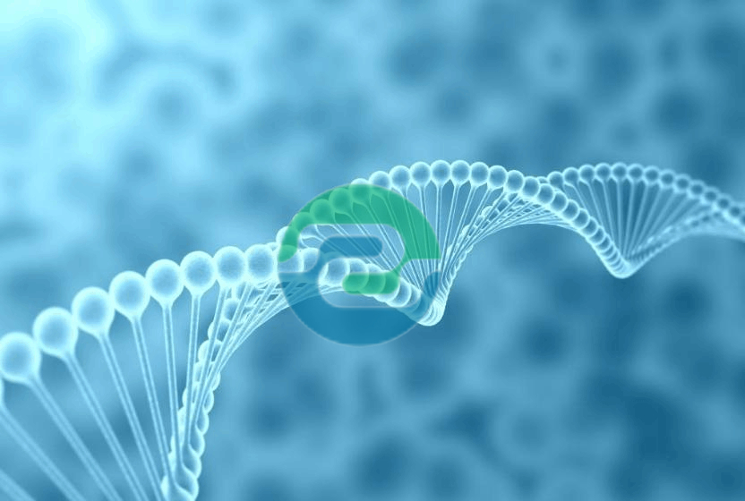 頭發和指甲哪個更好做中山親子鑒定？