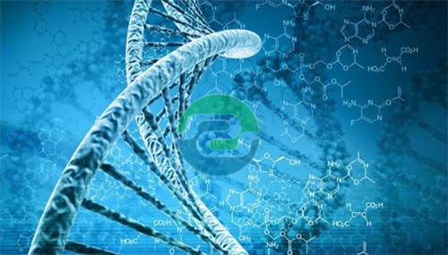 中山親子鑒定是否需要女方的同意？