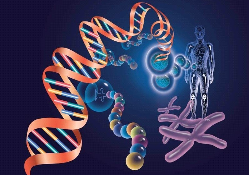 中山板芙鎮哪里可以做親子鑒定