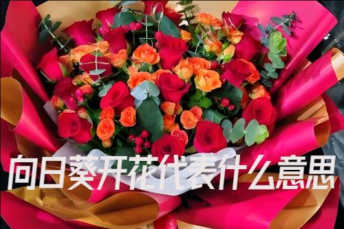 向日葵花語