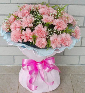 33朵康乃馨