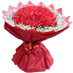 �B�T����